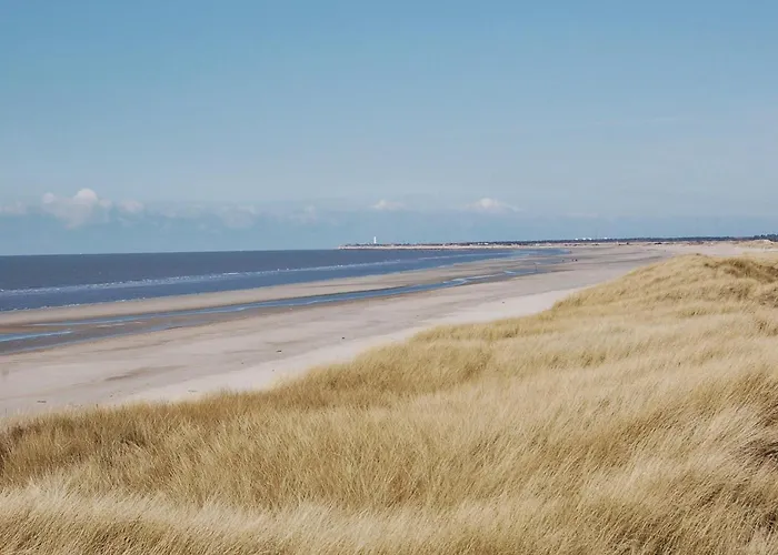 Hedevej Xii *